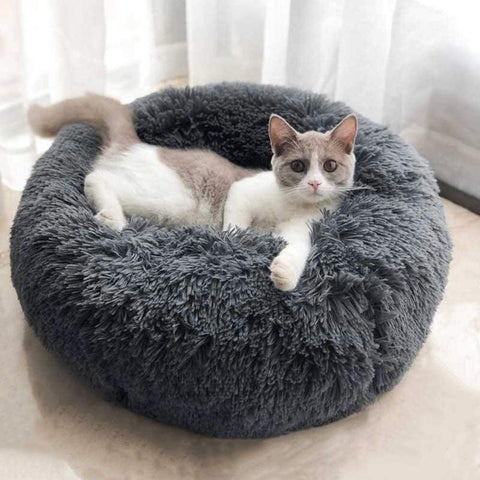 Cat Beds