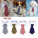 Formal Necktie Collar