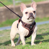 Adjustable Dog Collar Harness