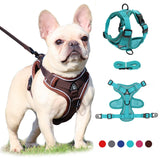 Adjustable Dog Collar Harness