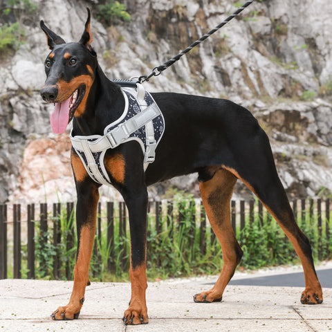 Large Dog Soft Adjustable Harness