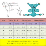 Adjustable Dog Collar Harness