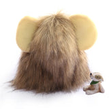 Cute Lion Mane Cat Costume